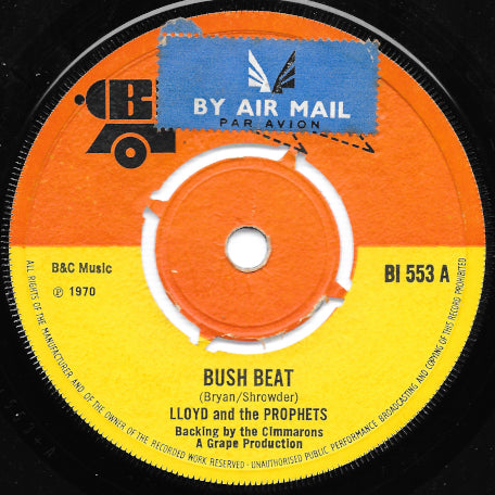 Bush Beat / Please Come Home
