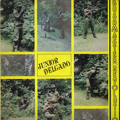 Bushmaster M16