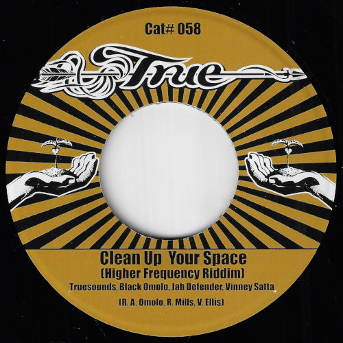 Clean Up Your Space (Higher Frequency Riddim) / Dub Up Your Space Mix 2