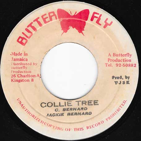 Collie Tree / Collie Ver