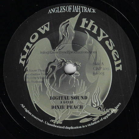 Digital Sound / Digital Dub