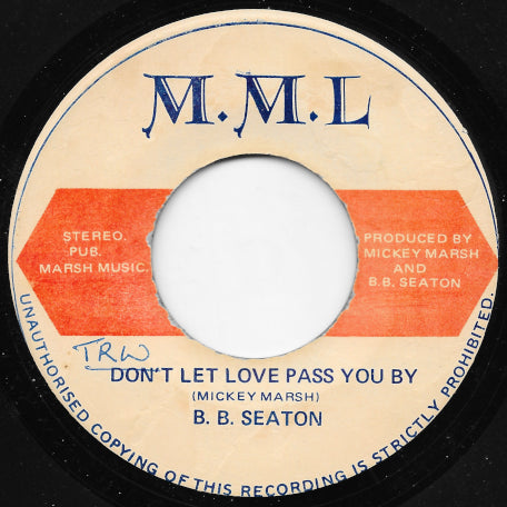 Don't Let Love Pass You By / Dub Involve