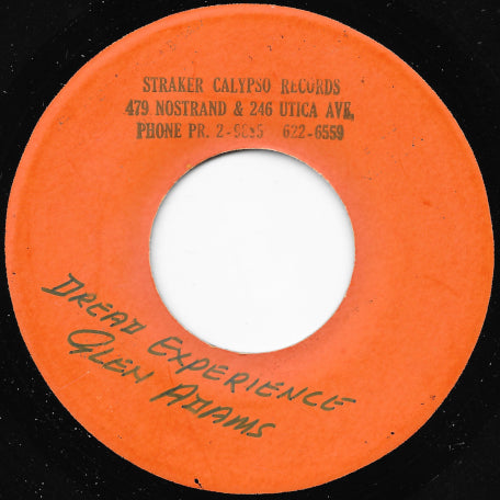 Soul Chick Reggae / Dread Experience