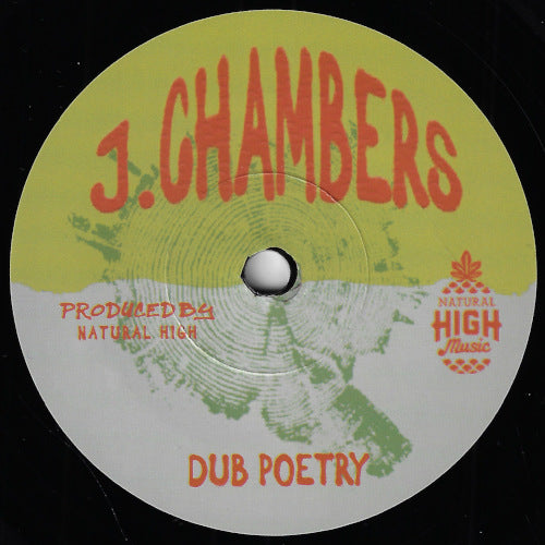 Dub Poetry / Poetry Dub