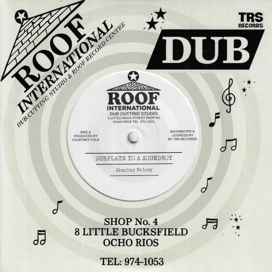 Dubplate To A Soundboy / Dub Mix