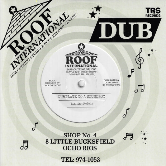 Dubplate To A Soundboy / Dub Mix