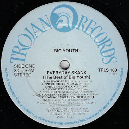 Everyday Skank (The Best Of Big Youth)