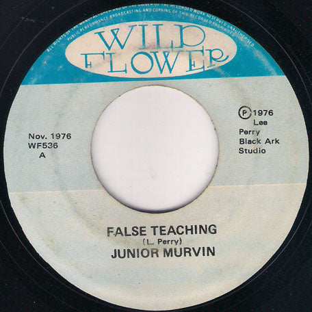 False Teaching / Teachers Dub