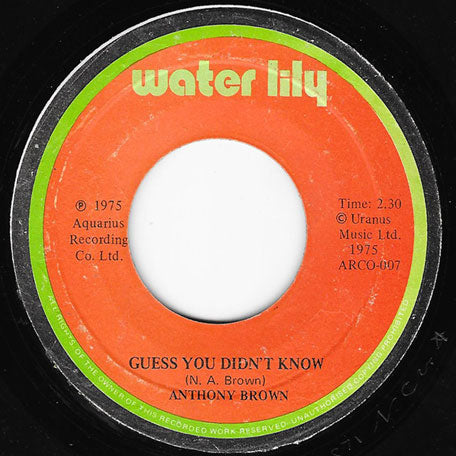 Guess You Didnt Know / Reggae Funkified
