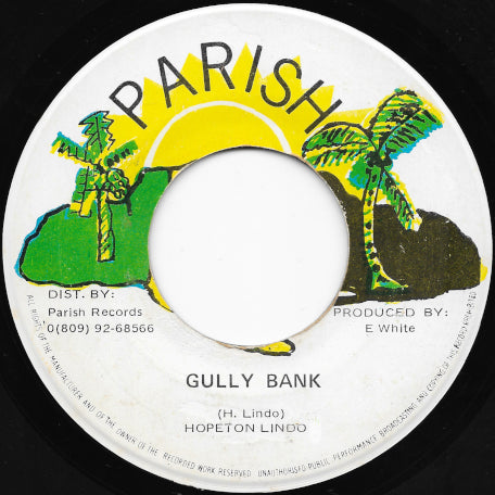 Gully Bank / Ver