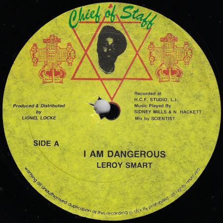 I Am Dangerous / Ver