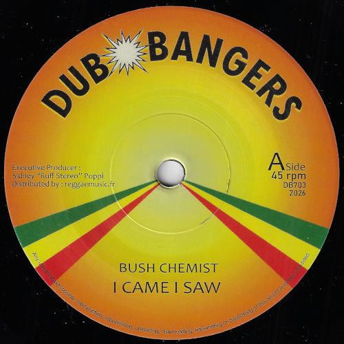 I Came I Saw / Dubwise