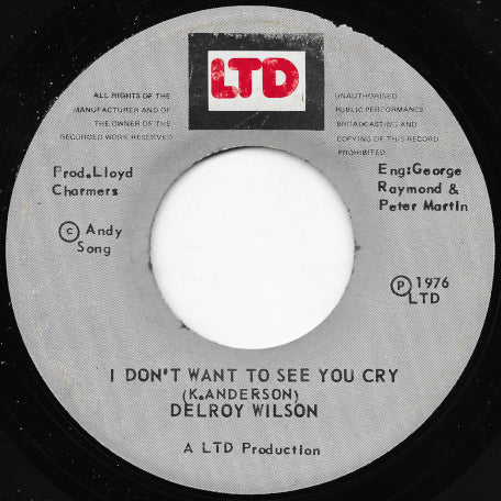 I Don't Want To See You Cry / Dub Don't Cry