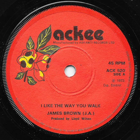 I Like The Way You Walk / Do It