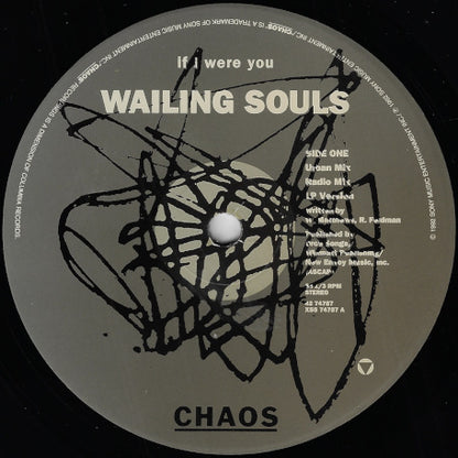 If I Were You (Urban Mix) / Radio Mix / LP Version / Urban Instrumental Mix / Shark Attack / Dance Hall Mix
