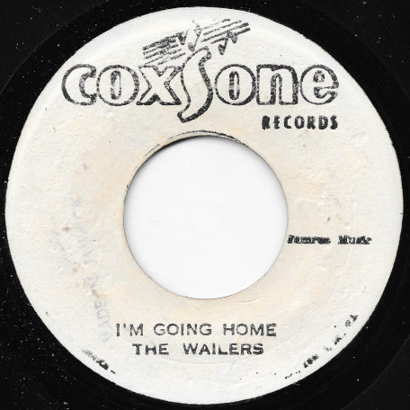 I'm Going Home / It Hurts To Be Alone