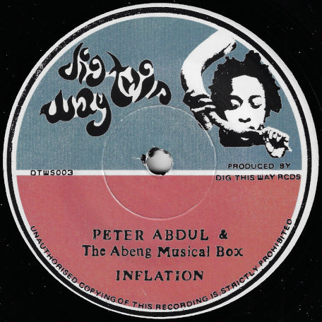 Musical Fat Inflation Inflation / Dubwise – Lion Vibes