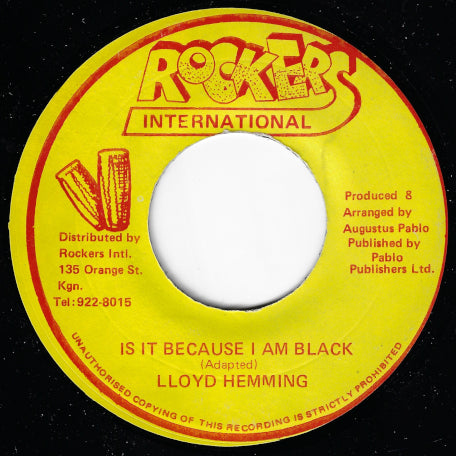 Is It Because I'm Black / Black Black Dub