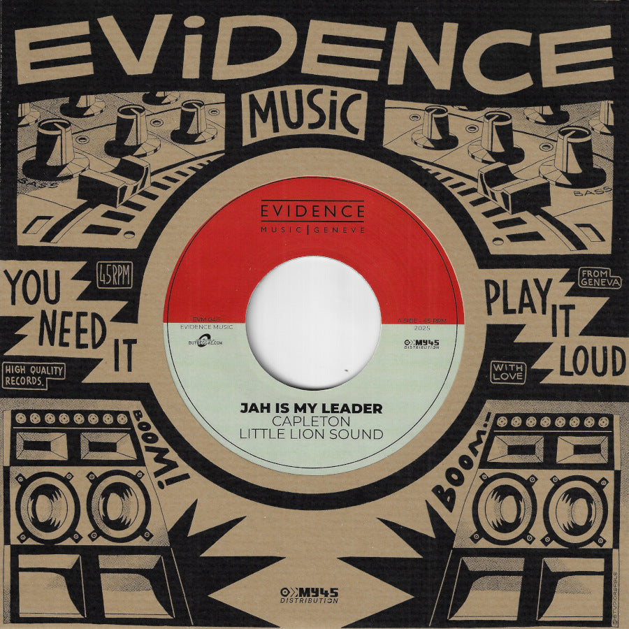 Modern Reggae – Lion Vibes