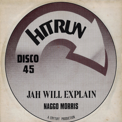 Jah Will Explain / Wicked Feel It
