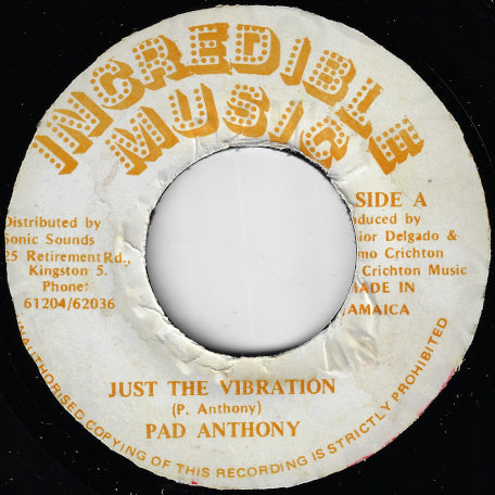 Just The Vibration / Ver