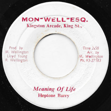 Meaning Of Life / Jockey Skank