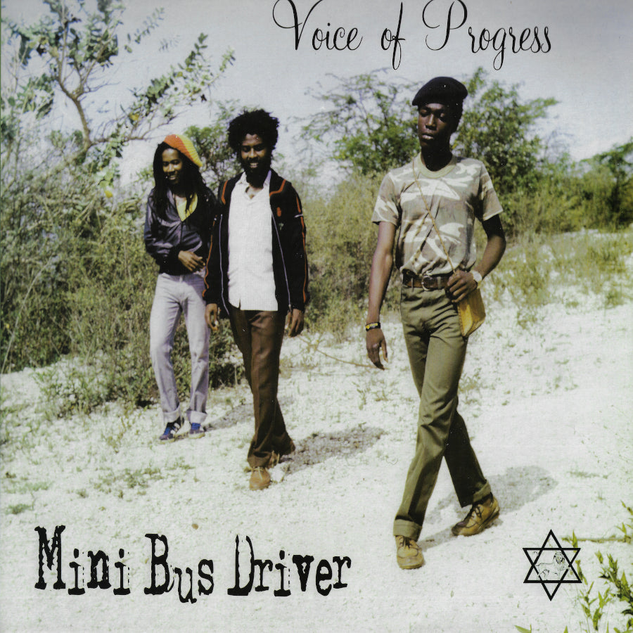 Mini Bus Driver – Lion Vibes