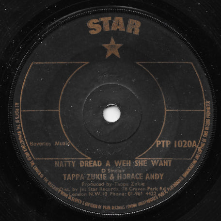 Natty Dread A Weh She Want / Rub A Dub A Weh Them Want