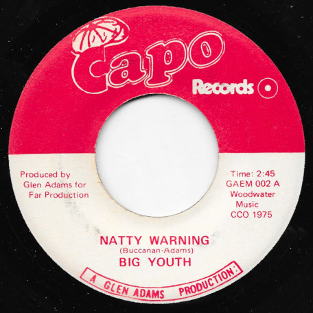 Natty Warning / Turn Around