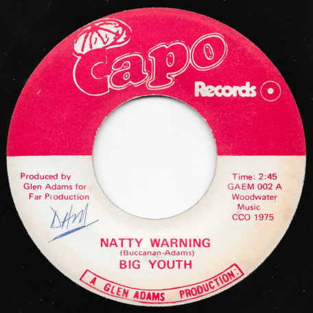 Natty Warning / Turn Around