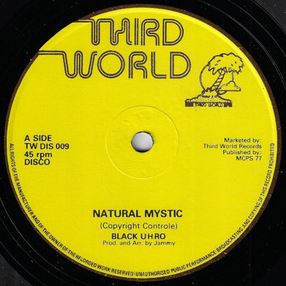Natural Mystic / Sorry For The Man