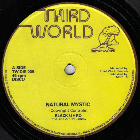 Natural Mystic / Sorry For That Man