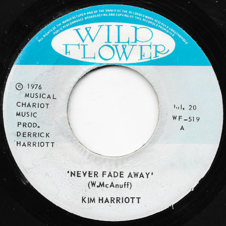 Never Fade Away / Dub Away Inst