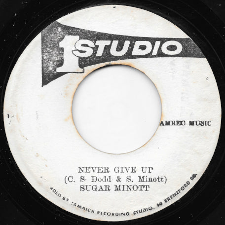 Never Give Up / Ver