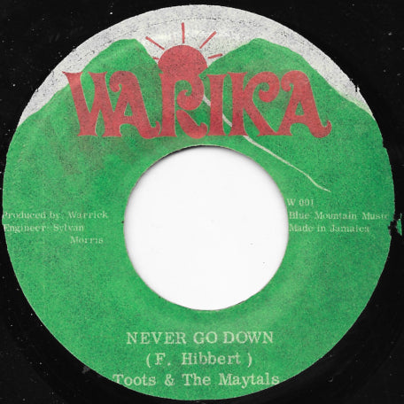 Never Go Down / In The Fire