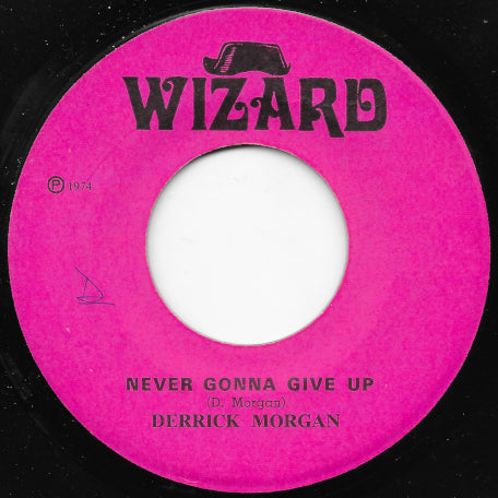 Never Gonna Give Up / A No Duppy