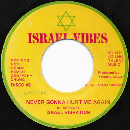 Never Gonna Hurt Me Again / Dub