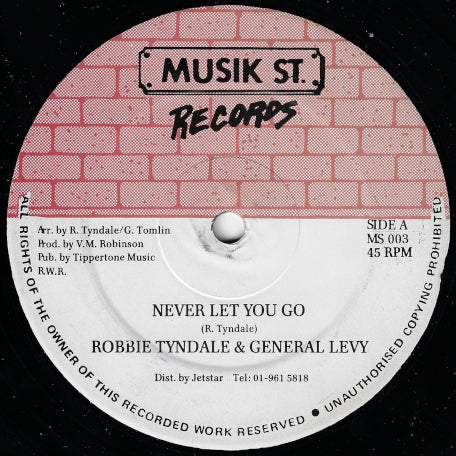 Never Let You Go / Earth Crises Mix