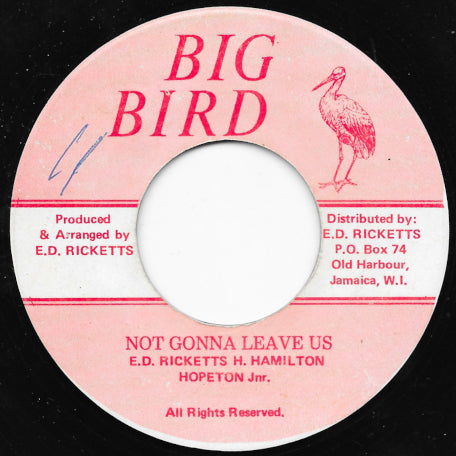Not Gonna Leave Us / Ver