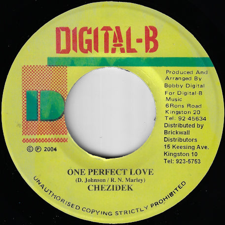 One Perfect Love - Forever Loving Rhythm