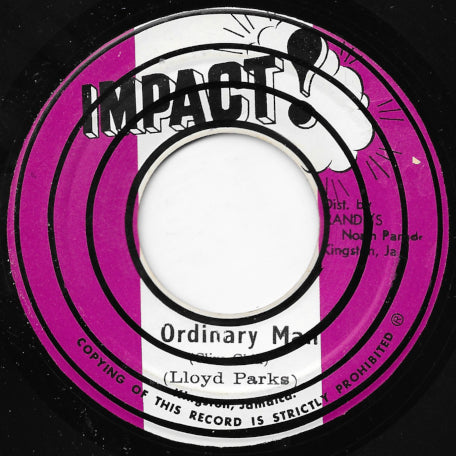 Ordinary Man / Version Wise