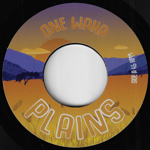 Plains / Dub The Plains