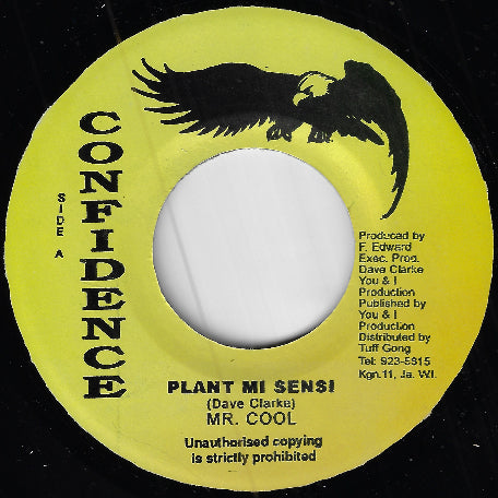 Plant Mi Sensi / Baby I Love You