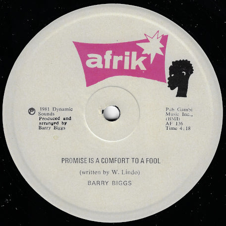 Promise Is A Comfort To A Fool / Ver