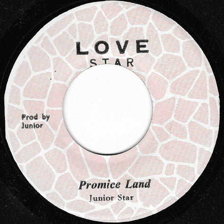 Promise Land / Ver