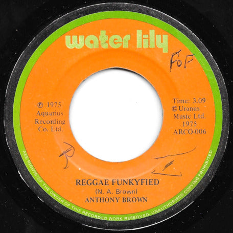 Reggae Funkyfied / Guess You Didnt Know