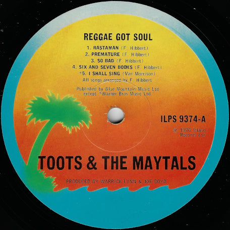 Reggae Got Soul