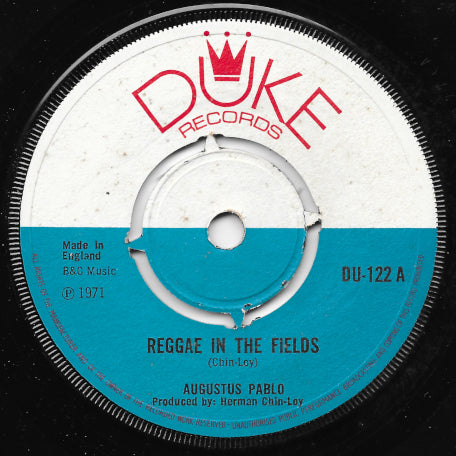 Reggae In The Fields / Aquarius 2