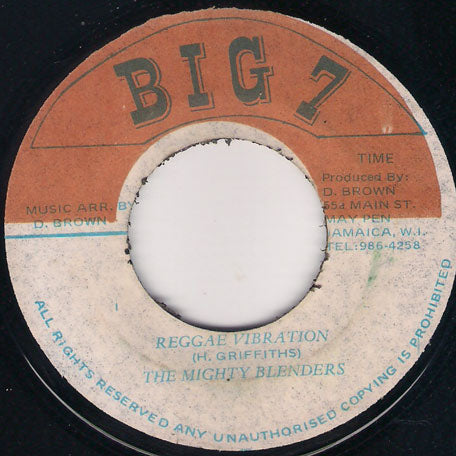 Reggae Vibration / Ver