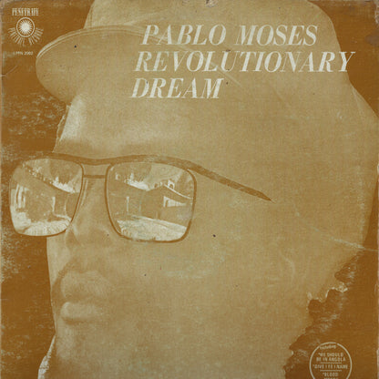 Revolutionary Dream